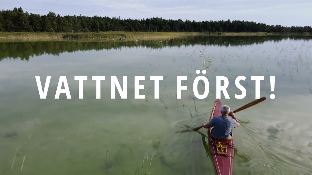 Vatten först, en film om Tingstäde träsk