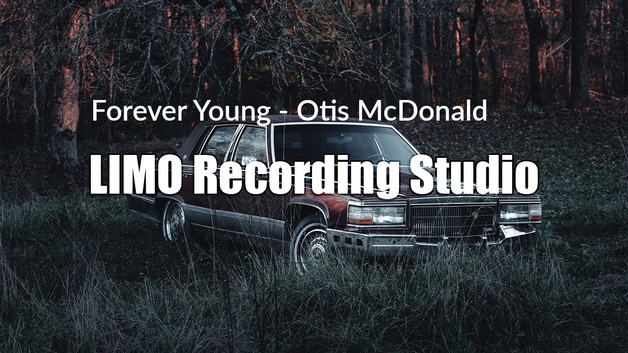 【CD】youngforever Simzlife 2.6 Cu. ft Compact Laundry Dryer Clothes Dryers with Four