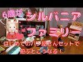 【シルバニアファミリー】の仕掛けにママもびっくり☆こんな秘密があったんだ！はじめてのパン屋さんセット・はじめてのシルバニアファミリー・ペルシャネコのお母さん・ショコラウサギ・フレアちゃん