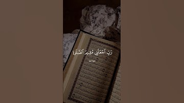 سعد الغامدي …ارح سمعك 😴| #قرآن #تلاوة_خاشعة #راحة_نفسية #لايك #اكسبلور #تابعوني #سعد_الغامدي