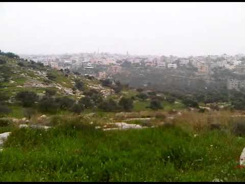 جبال مدينة الطيبة عروس المثلث في فلسطين ربيع 2011