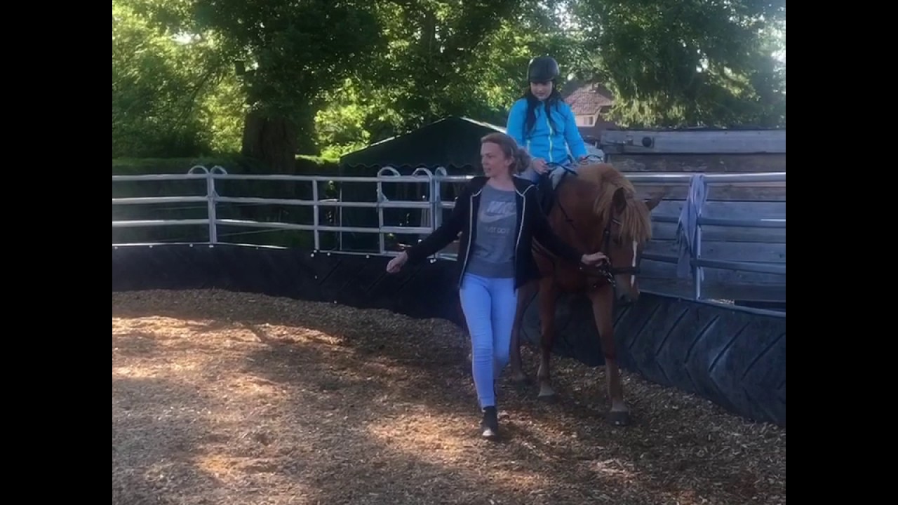 💚👍🏻😃Mein 1. Tag im Reitkurs😍💚🐴