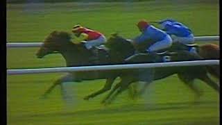 1990 Irish Champion Stakes Elmaamul Includes Replay