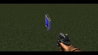 Visual Voxel Bug in GZDoom's Software Renderer