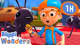 POWER OF THE ANT! 💪🐜 | Blippi Wonders | Moonbug Kids