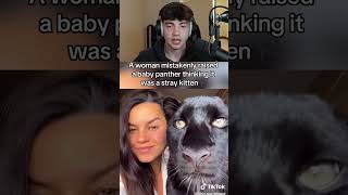 Woman Raises A Panther 