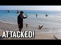 WE GOT ATTACKED AT THE BEACH!