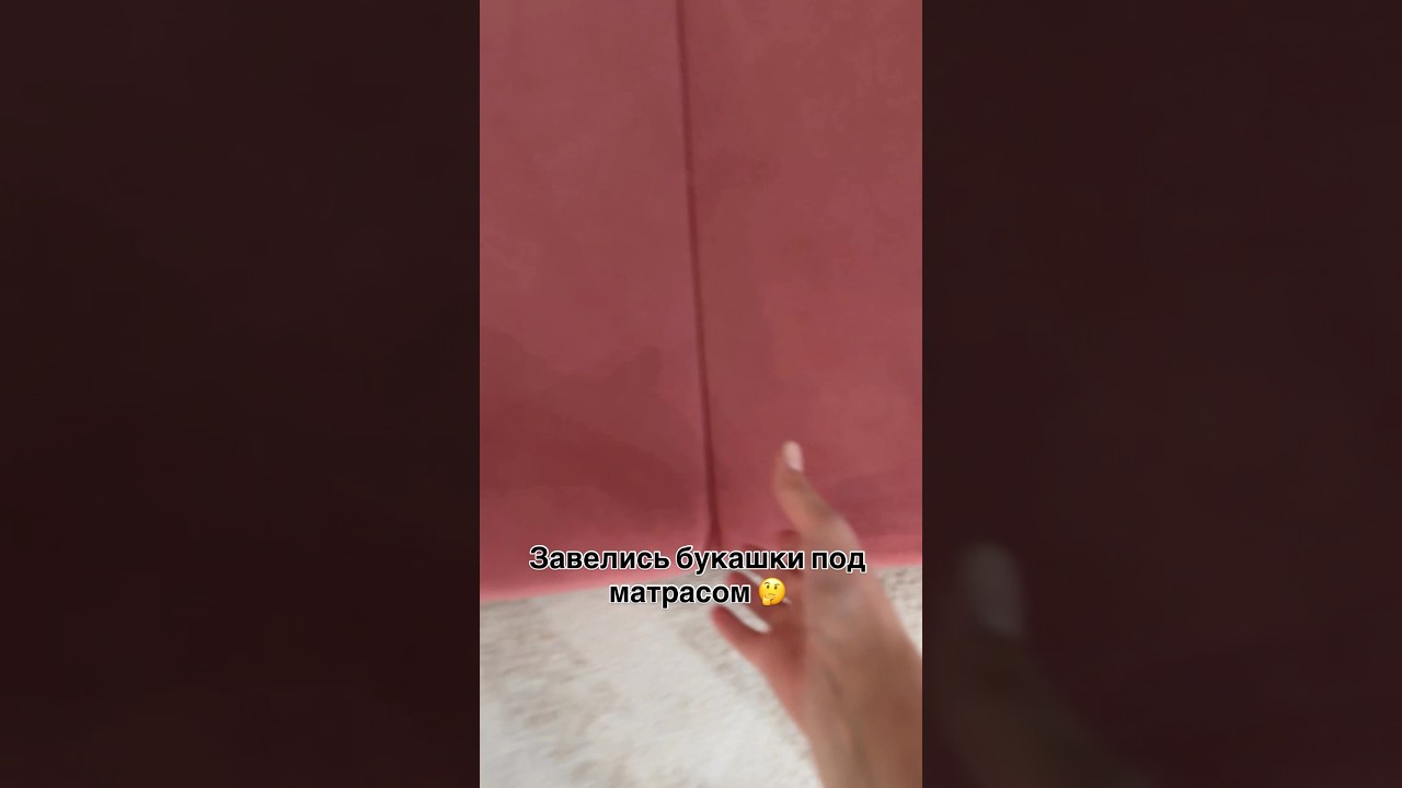 Завелись букашки под матрасом 😱