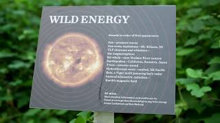 2014 | In The Garden of Sonic Delights | Wild Energy | Annea Lockwood and Bob Bielecki
Wild Energy by Annea Lockwood and Bob Bielecki
was part of the exhibition In The Garden of Sonic Delights
Presented by Caramoor Center for Music in the Arts in 2014
For more information visit http://gardenofsonicdelights.org
Video artist Caryn Waechter was commissioned to create one of these short films for each of the 15 pieces in the exhibition.
More information about Caryn at http://www.carynwaechter.com/ 2014 | In The Garden of Sonic Delights | Wild Energy | Annea Lockwood and Bob Bielecki