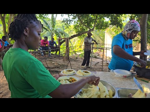 Roast breadfruit w curry chicken back || Colaz Smith tv team 