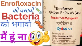 Enrofloxacin inj.  के बारे में जानकारी, King Of All Antibiotics !