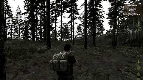 Dayz bug - Infinite walking backwards
