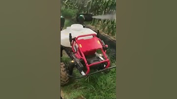 Automatic Spraying Robot in Dragon Fruit FarmAdvanced Agricultural Technology!"#Agriculture #Farming