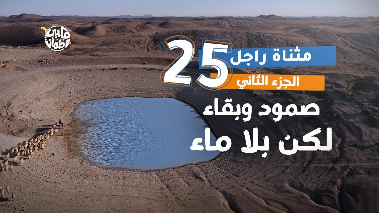 برنامج قلبي اطمأن | الموسم السابع | الحلقة 25 | قريبة مثناة راجل | الجزء 2