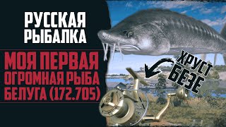 ФАРМ СЕРЕБРА на НОРВЕЖСКОМ МОРЕ | Поиск 1.000 в Час 🔴 Русская Рыбалка 4