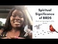 Spiritual Significance of Birds