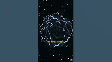Say Goodbye To Eternal Expansion New Theory Says The Universe Will Collapse 