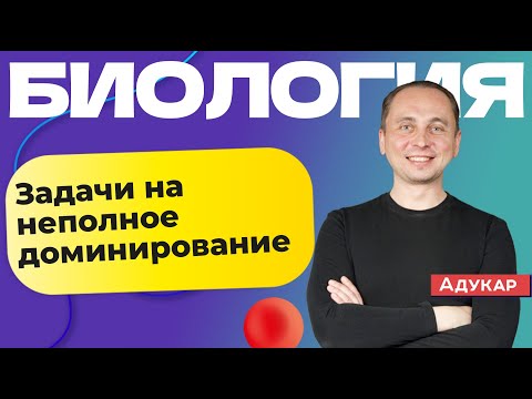 Биология ЦТ | Решаем задачи на неполное доминирование | Генетика