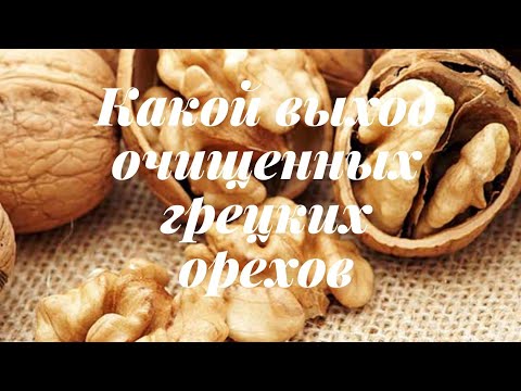 'Хочу проверить' какой выход очищенных грецких орехов. Как чистить грецкие орехи.