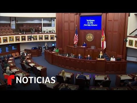 Video: Nueva ley significa que México dejará de practicar la eutanasia de perros policías retirados