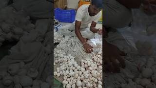 ? Button Mushroom efarmingodisha farming buttonmushrooms