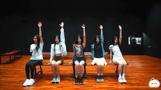 [MIRRORED] NewJeans (뉴진스) 'Cookie' Dance Practice | Mochi Dance Mirror