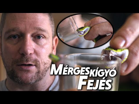 Videó: Hogyan lehet megszabadulni a szúnyogoktól (legyek harapása): 10 lépés