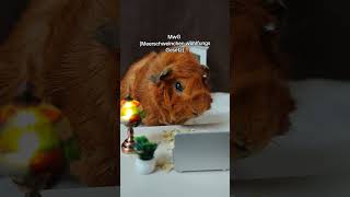 Hä? Ist Das Erlaubt? Ss