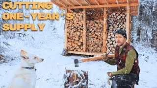 Building A Rustic Woodshed and Cutting A Years Firewood | Alone In Alaska | ASMR