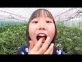 まーちゃん ほーちゃん いちご狩りの様子