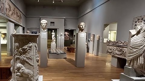 Dr. Valeda Dent: Welcome to the Emory Libraries and Carlos Museum