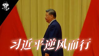 习近平逆风而行 | 中国现今的矛盾 | 习近平压力山大  #习近平 #权力 #官场 #中共 #李强