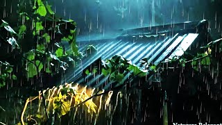 Fall Asleep Quickly with a Sudden Thunderstorm & Heavy Rain Sounds on a Corrugated Iron Roof House by Natureza Relaxante 1,924 views 2 months ago 10 hours