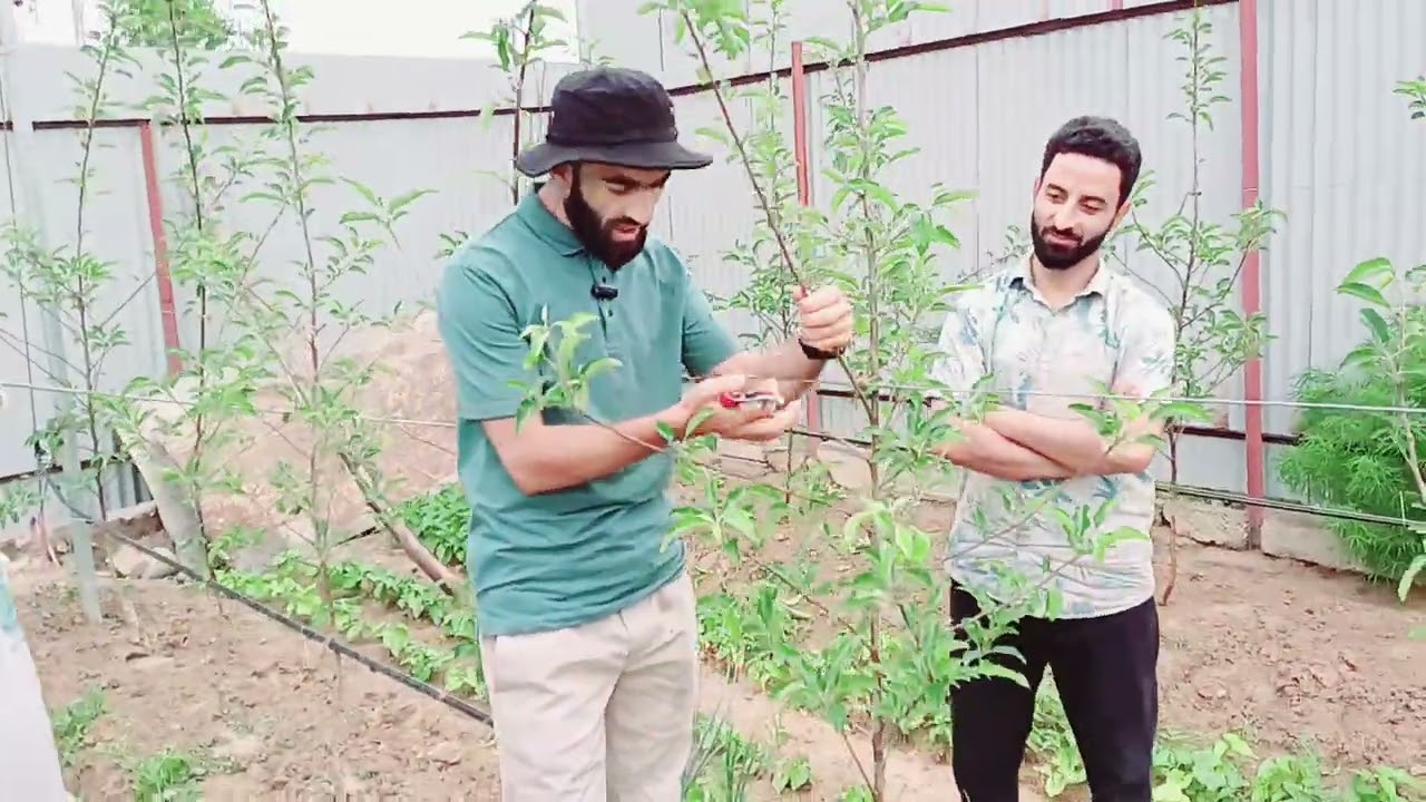 Future = Proper Training and Management By  Aamir Manzoor