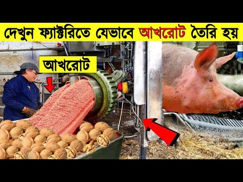 ভিডিও: আখরোট কাঠের দাম কেন?