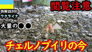 【危険】チェルノブイリ原発事故現場、現地ツアー実際に行ってみた旅行解説