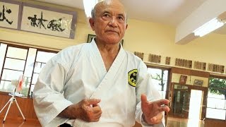 【Kata Comparison】 Okinawa Shorinryu Karate and Shotokanryu【Tatsuya Naka】