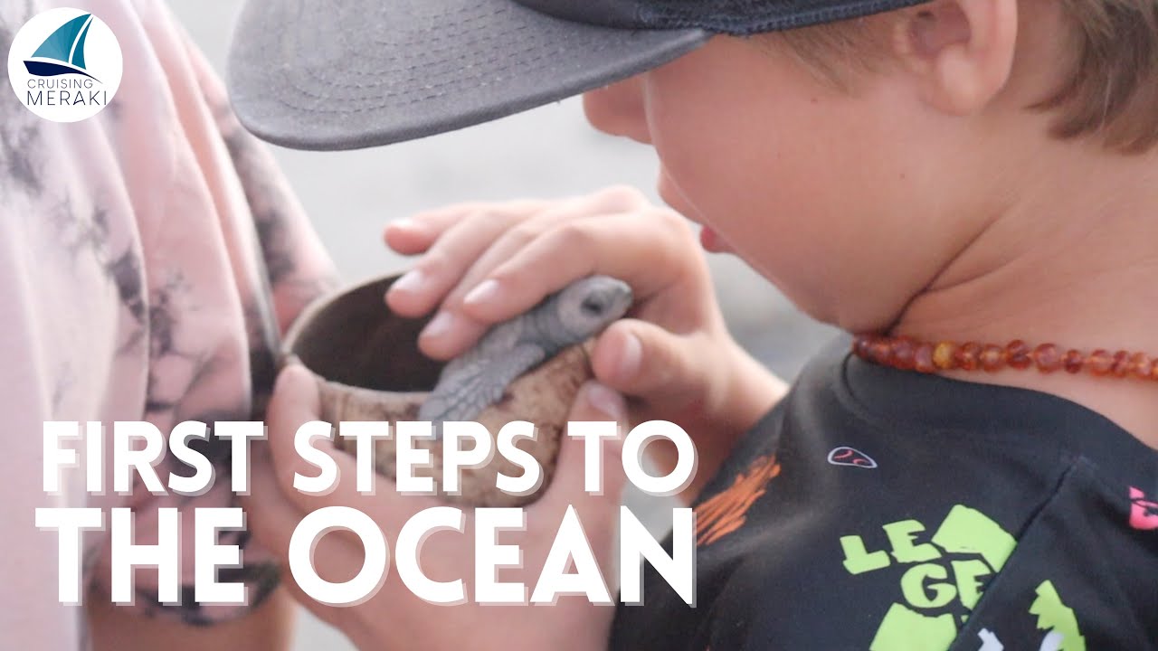 Releasing BABY Sea Turtles | MEXICO | Ep 50