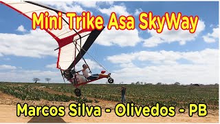 Mini Trike - Asa Skyway - Motor Briggs 23 HPs