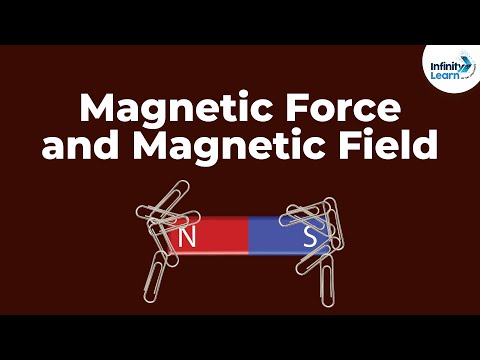 Video: Hoeveel magnetische krachten zijn er gedefinieerd?