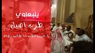 #ينبعاوي ينبعاوي طرب اصيل  ( المقطع كامل ) يا حبيب القلب انا طالب رضاك | اسمع الابداع على القانون