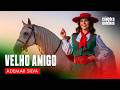 VELHO AMIGO - ADEMAR SILVA