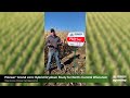 Pioneer® brand corn: Hybrid Drydown Study for North-Central Wisconsin