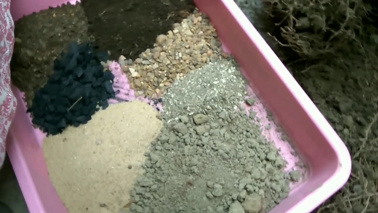 Agave plant soil mix YouTube