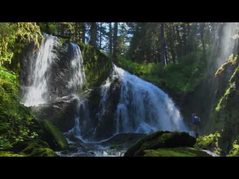 Southeast Alaska - impressions filmed with the Nikon D500 4K
