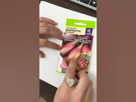 Новинка! Лук-шалот Шарлотта - YouTube