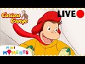 LIVE 🔴 | A Very Curious Christmas | Curious George | Mini Moments