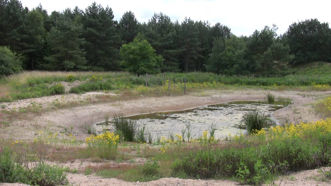 CAMäleon 2012 - Artenvielfalt durch Biotopverbund