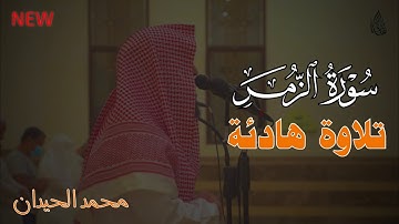 محمد اللحيدان تلاوة خاشعة 🫀🎧 سورة الزمر ( ٨ - ٢٣ )