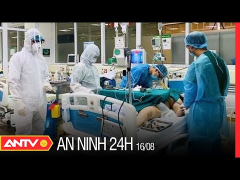 Video An ninh 24h ngày 16/8: Bộ Y tế khẩn trương xác minh... - YouTube